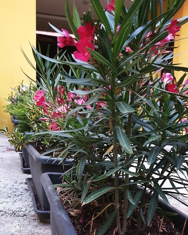 Dream & Fly Apartments Busto Arsizio